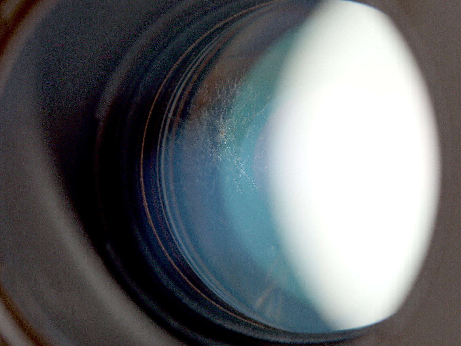 CANON キヤノン EF 100mm F2.8 MACRO 5900285D